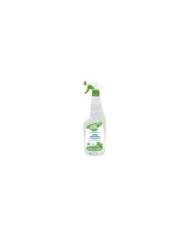 EcoReady Vetri Multiuso Menta Ipoallergenico Spray 750ml