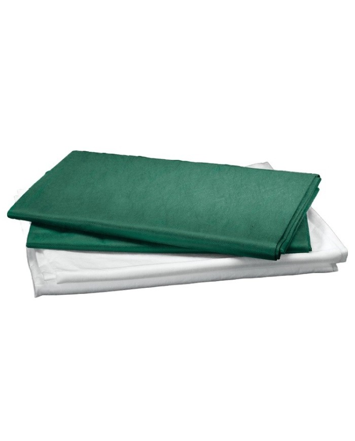 Lenzuola monouso verdi 120x230cm in cartoni da 100 pezzi