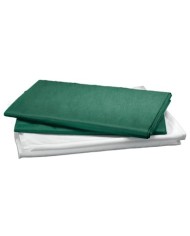Lenzuola monouso verdi 120x230cm in cartoni da 100 pezzi