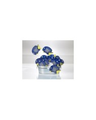 Salvietta rinfrescante in TNT sagomata pesce mare Blu al limone 11x7cm 500pz
